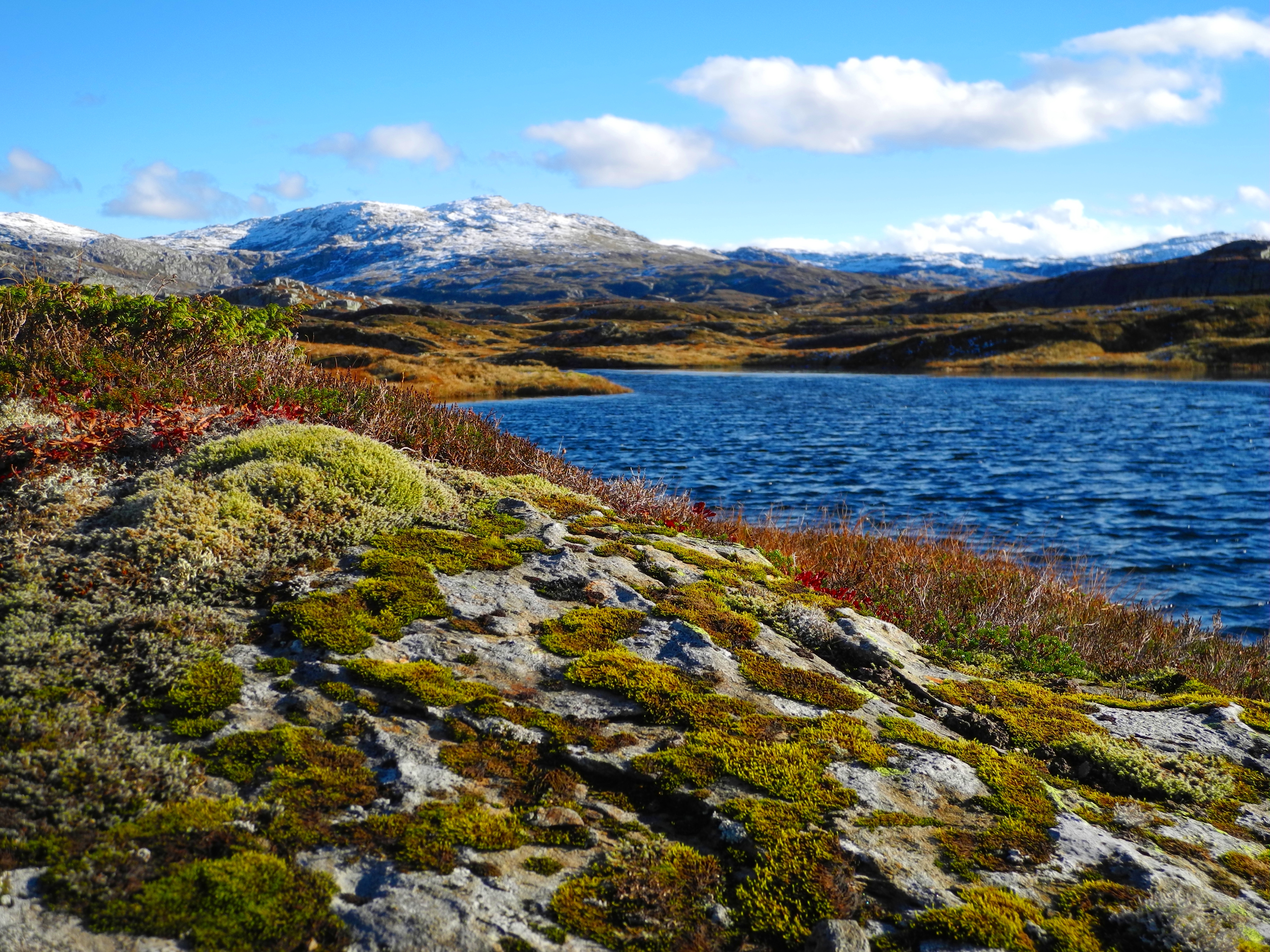 Berge_Seen